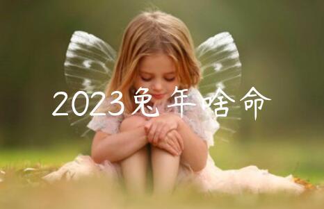 2023兔年啥命 2023兔年是什么命年