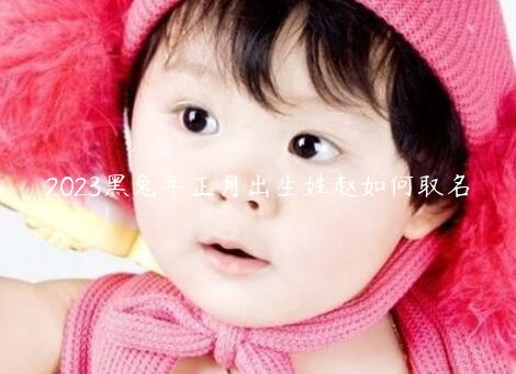 2023黑兔年正月出生姓赵如何取名 2023黑兔年正月出生姓赵如何取名字