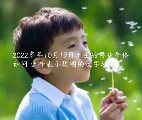 2022虎年10月19日出生的男孩命格如何 选择表示聪明的汉字起名