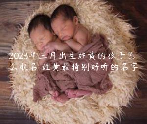 2023年三月出生姓黄的孩子怎么取名 姓黄最特别好听的名字缩略图