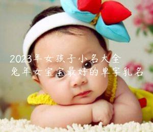 2023年女孩子小名大全 兔年女宝宝最好的单字乳名缩略图